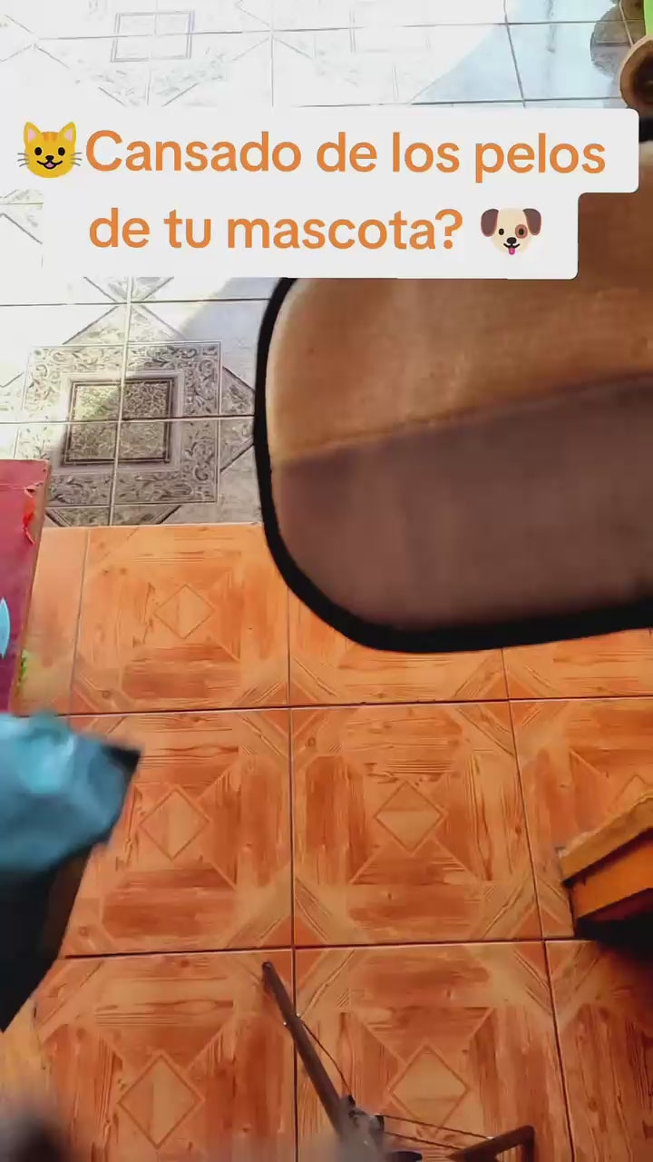 Cargar video: 